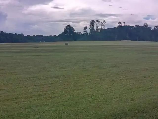 Terreno venda em Região Geográfica Imediata de Curitiba, Região Metropolitana de Curitiba