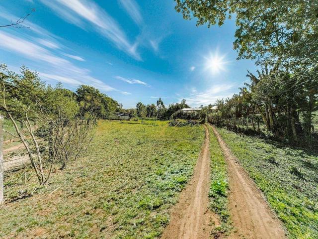 Terreno venda em Região Geográfica Imediata de Curitiba, Região Metropolitana de Curitiba