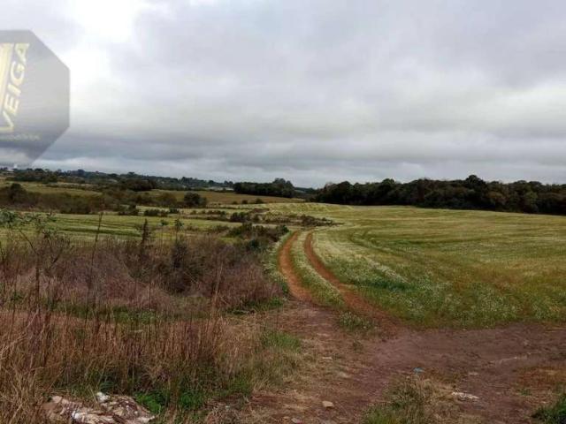 Terreno venda em Roseira de Campo Largo, São José dos Pinhais