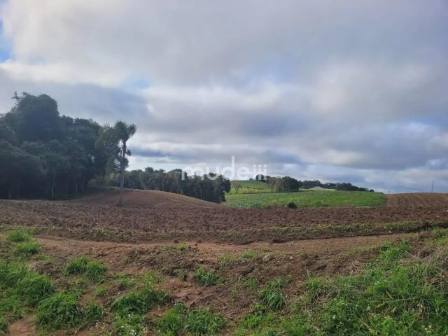 Terreno venda em Região Geográfica Imediata de Curitiba, Região Metropolitana de Curitiba