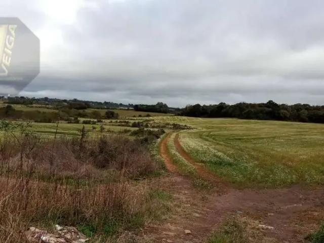 Terreno venda em Região Geográfica Imediata de Curitiba, Região Metropolitana de Curitiba