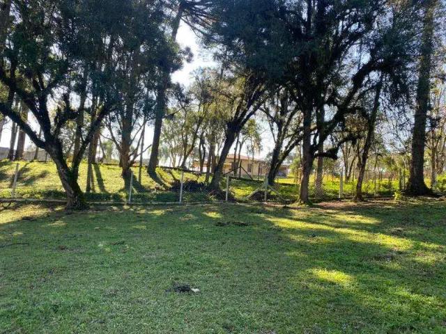 Terreno venda em Região Geográfica Imediata de Curitiba, Região Metropolitana de Curitiba