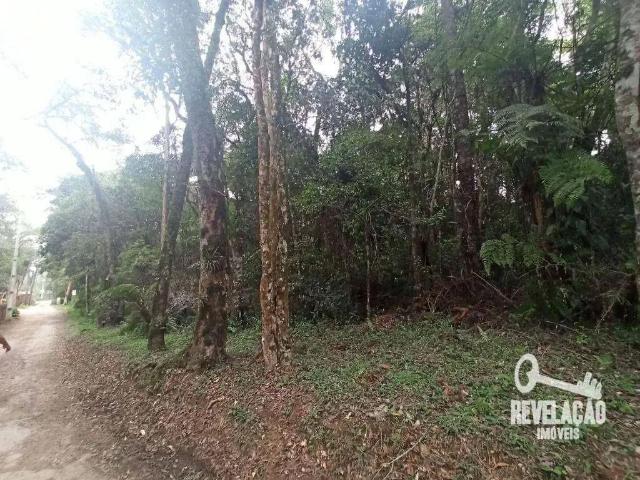Terreno venda em Região Geográfica Imediata de Curitiba, Região Metropolitana de Curitiba