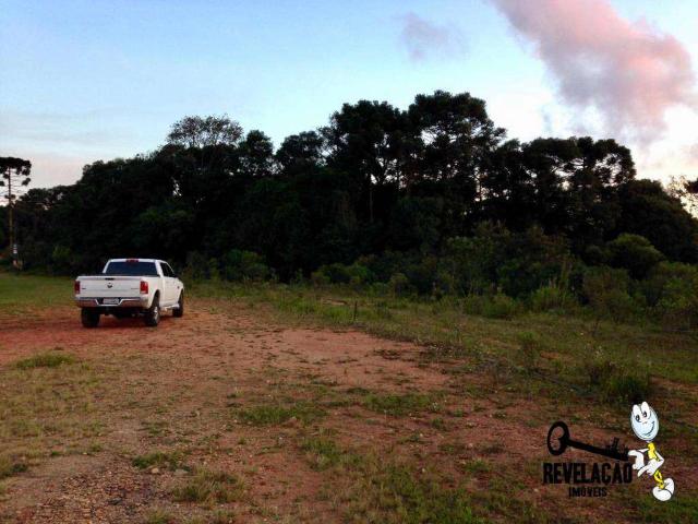 Terreno venda em Campina do Taquaral, São José dos Pinhais