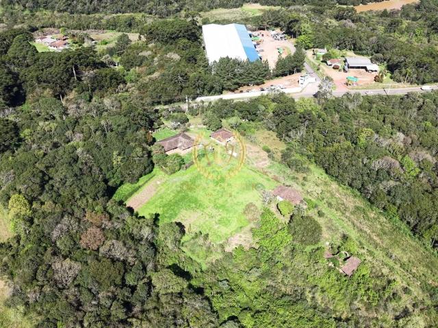 Terreno venda em Cachoeira, São José dos Pinhais