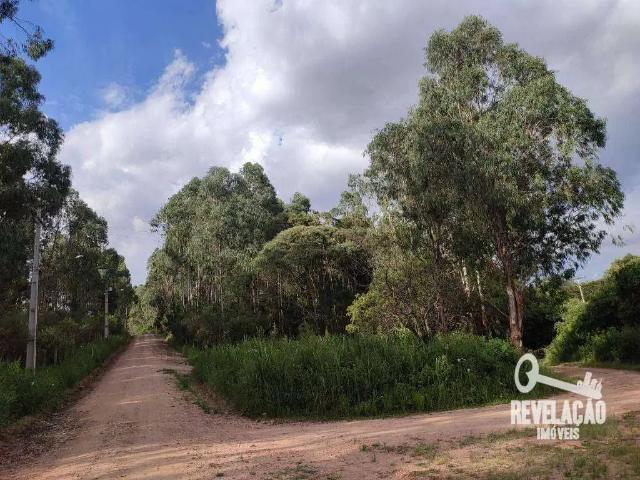 Terreno venda em Região Geográfica Imediata de Curitiba, Região Metropolitana de Curitiba