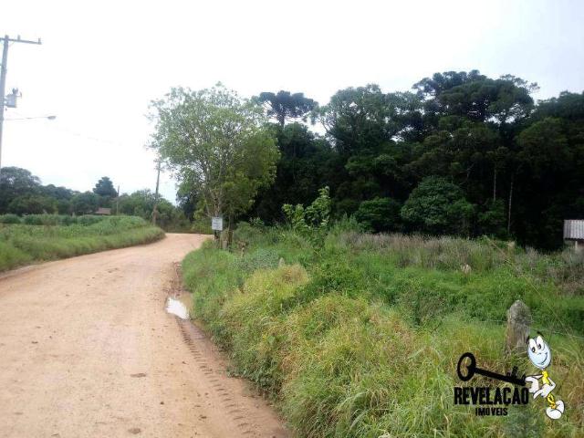 Terreno venda em Campina do Taquaral, São José dos Pinhais