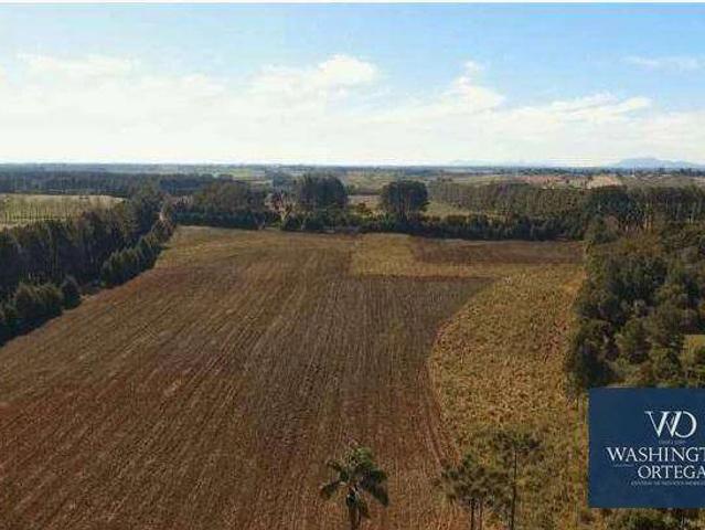 Terreno venda em Região Geográfica Imediata de Curitiba, Região Metropolitana de Curitiba
