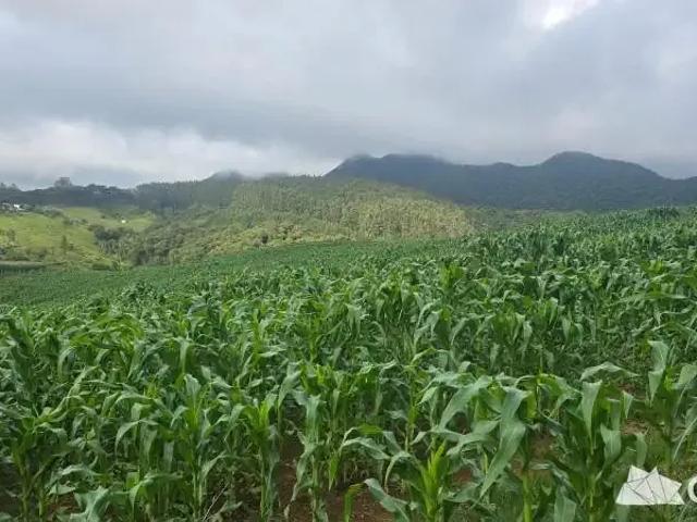 Terreno venda em Região Geográfica Imediata de Curitiba, Região Metropolitana de Curitiba
