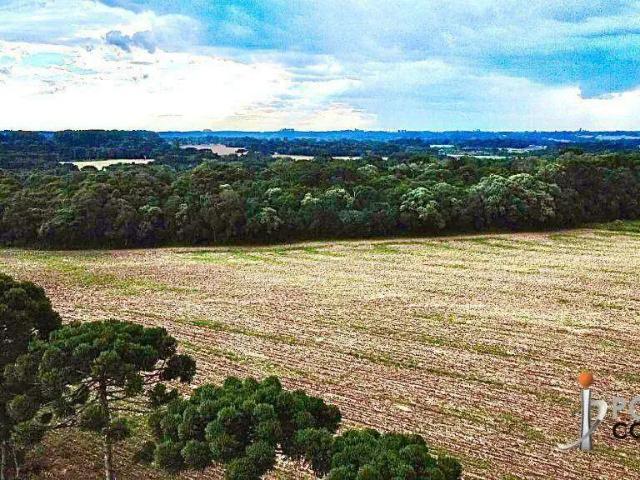Terreno venda em Região Geográfica Imediata de Curitiba, Região Metropolitana de Curitiba