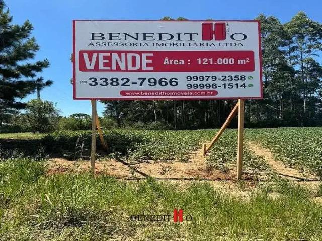 Terreno venda em Região Geográfica Imediata de Curitiba, Região Metropolitana de Curitiba