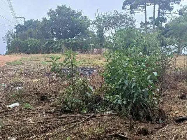 Terreno venda em Região Geográfica Imediata de Curitiba, Região Metropolitana de Curitiba