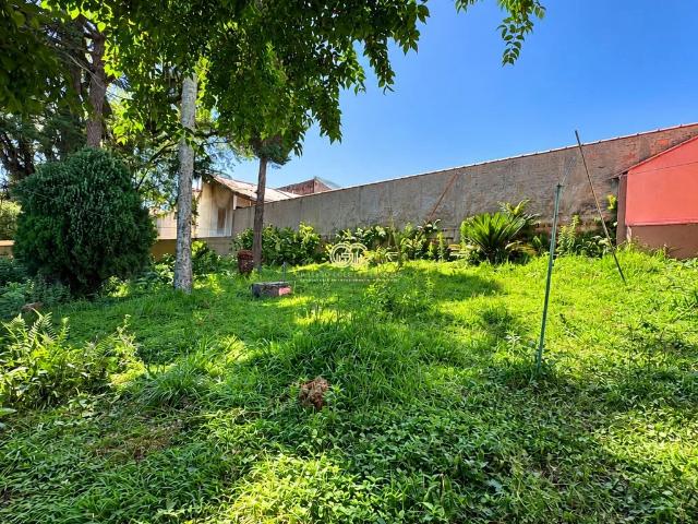 Terreno venda em Cidade Jardim, São José dos Pinhais