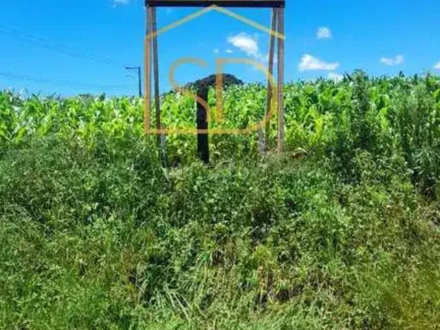 Terreno venda em Região Geográfica Imediata de Curitiba, Região Metropolitana de Curitiba
