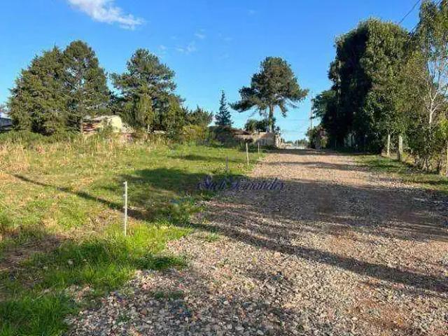 Terreno venda em Região Geográfica Imediata de Curitiba, Região Metropolitana de Curitiba