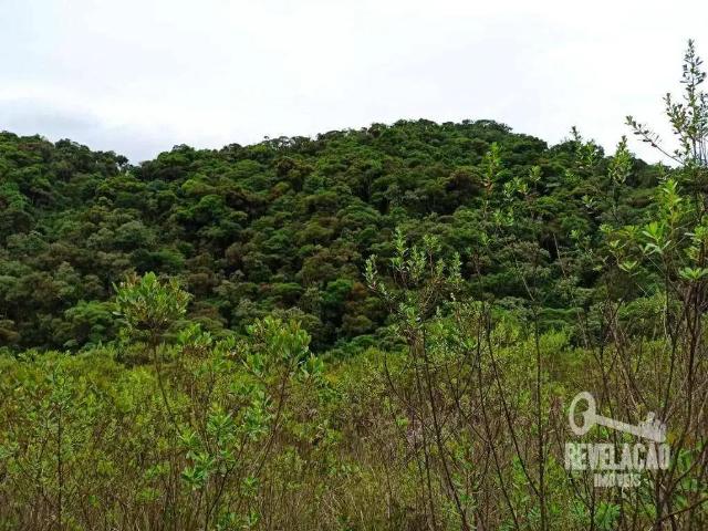 Terreno venda em Região Geográfica Imediata de Curitiba, Região Metropolitana de Curitiba