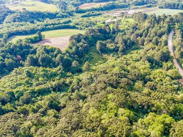 Terreno venda em Região Geográfica Imediata de Curitiba, Região Metropolitana de Curitiba