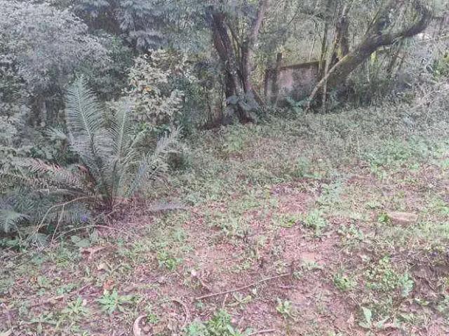 Terreno venda em Região Geográfica Imediata de Curitiba, Região Metropolitana de Curitiba