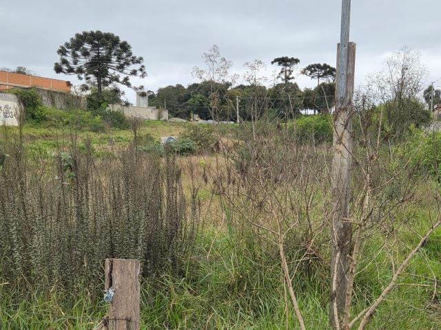 Terreno venda em Região Geográfica Imediata de Curitiba, Região Metropolitana de Curitiba