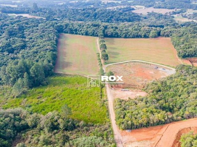 Terreno venda em Região Geográfica Imediata de Curitiba, Região Metropolitana de Curitiba