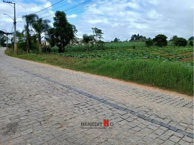 Terreno venda em Região Geográfica Imediata de Curitiba, Região Metropolitana de Curitiba