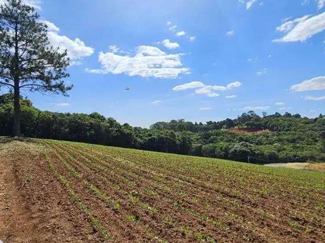 Terreno venda em Região Geográfica Imediata de Curitiba, Região Metropolitana de Curitiba