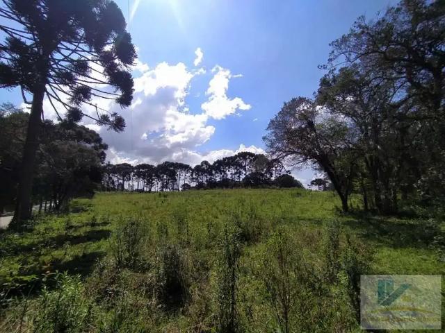 Terreno venda em Região Geográfica Imediata de Curitiba, Região Metropolitana de Curitiba