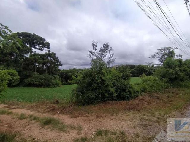 Terreno venda em Região Geográfica Imediata de Curitiba, Região Metropolitana de Curitiba