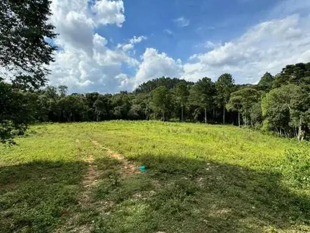 Terreno venda em Região Geográfica Imediata de Curitiba, Região Metropolitana de Curitiba
