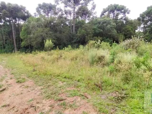 Terreno venda em Região Geográfica Imediata de Curitiba, Região Metropolitana de Curitiba