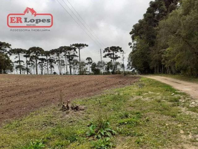 Terreno venda em Região Geográfica Imediata de Curitiba, Região Metropolitana de Curitiba