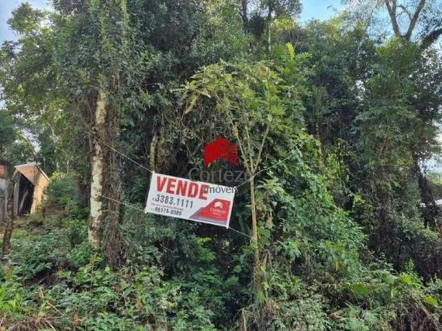 Terreno venda em Região Geográfica Imediata de Curitiba, Região Metropolitana de Curitiba
