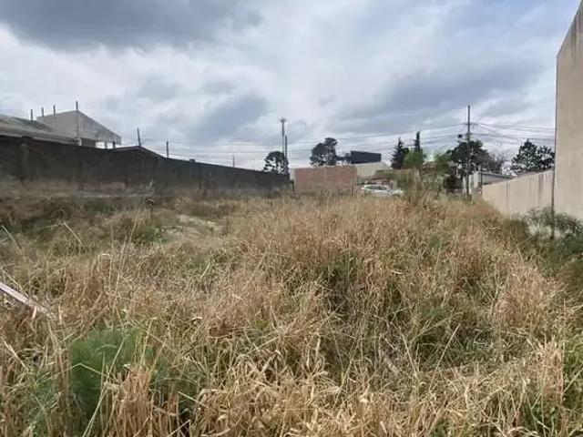 Terreno venda em Região Geográfica Imediata de Curitiba, Região Metropolitana de Curitiba
