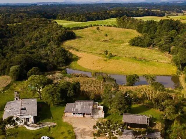 Terreno venda em Região Geográfica Imediata de Curitiba, Região Metropolitana de Curitiba
