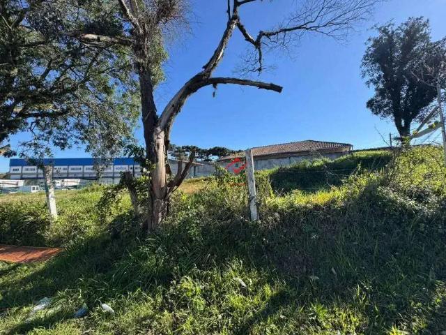 Terreno venda em Região Geográfica Imediata de Curitiba, Região Metropolitana de Curitiba