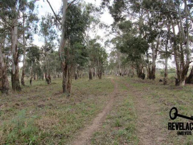 Terreno venda em Região Geográfica Imediata de Curitiba, Região Metropolitana de Curitiba