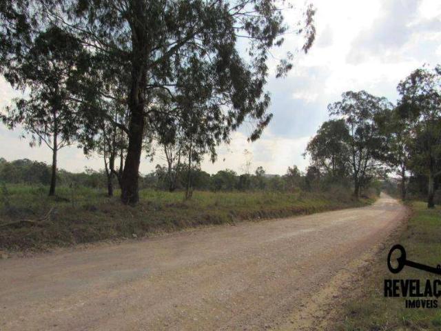 Terreno venda em Planta Belvedere Villaggio, São José dos Pinhais