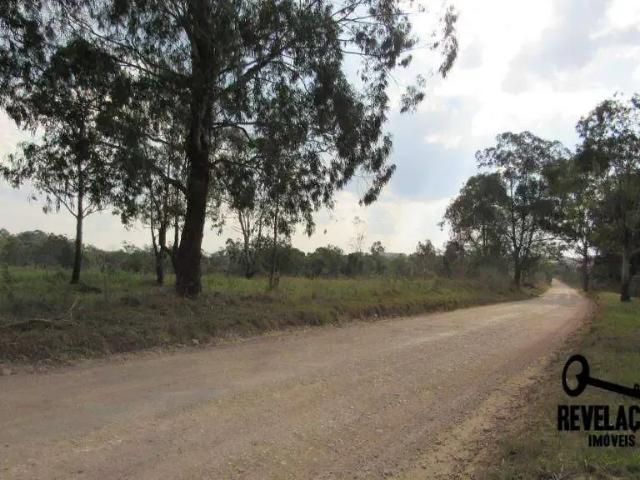 Terreno venda em Região Geográfica Imediata de Curitiba, Região Metropolitana de Curitiba
