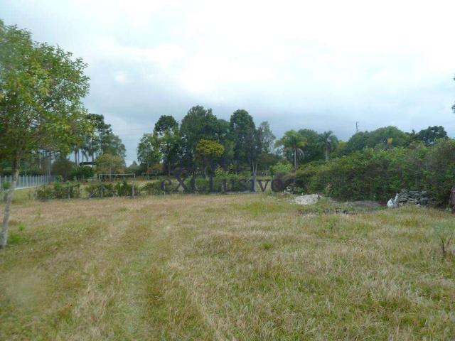 Terreno venda em Região Geográfica Imediata de Curitiba, Região Metropolitana de Curitiba