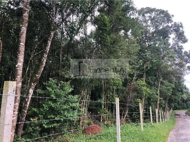 Terreno venda em Região Geográfica Imediata de Curitiba, Região Metropolitana de Curitiba