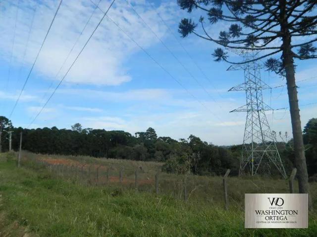 Terreno venda em Região Geográfica Imediata de Curitiba, Região Metropolitana de Curitiba