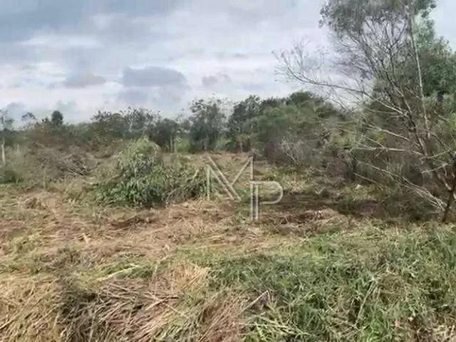 Terreno venda em Região Geográfica Imediata de Curitiba, Região Metropolitana de Curitiba