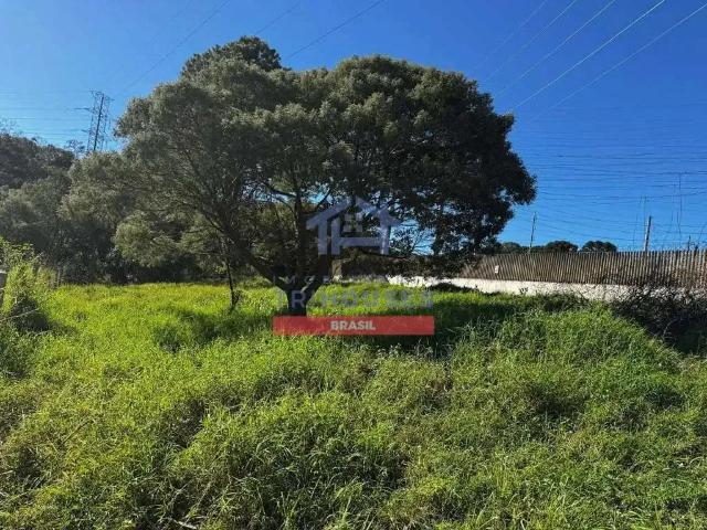Terreno venda em Região Geográfica Imediata de Curitiba, Região Metropolitana de Curitiba