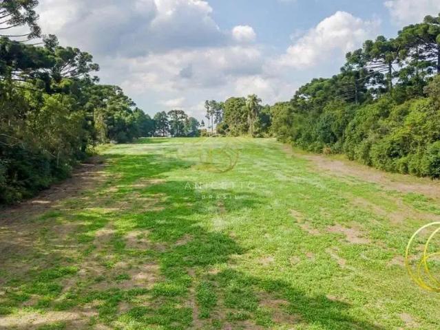 Terreno venda em Região Geográfica Imediata de Curitiba, Região Metropolitana de Curitiba
