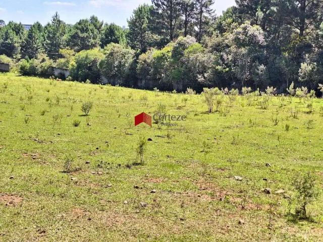 Terreno venda em Região Geográfica Imediata de Curitiba, Região Metropolitana de Curitiba