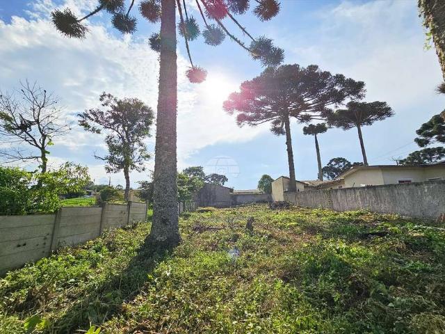 Terreno venda em Região Geográfica Imediata de Curitiba, Região Metropolitana de Curitiba