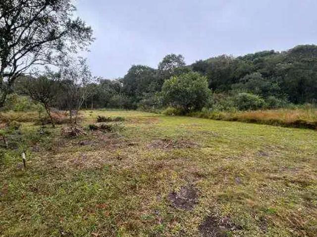 Terreno venda em Região Geográfica Imediata de Curitiba, Região Metropolitana de Curitiba