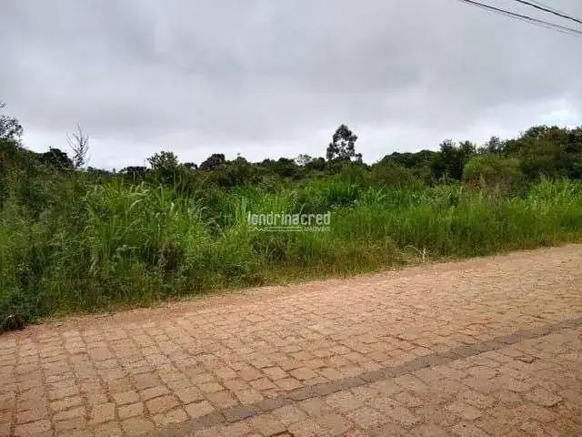 Terreno venda em Região Geográfica Imediata de Curitiba, Região Metropolitana de Curitiba