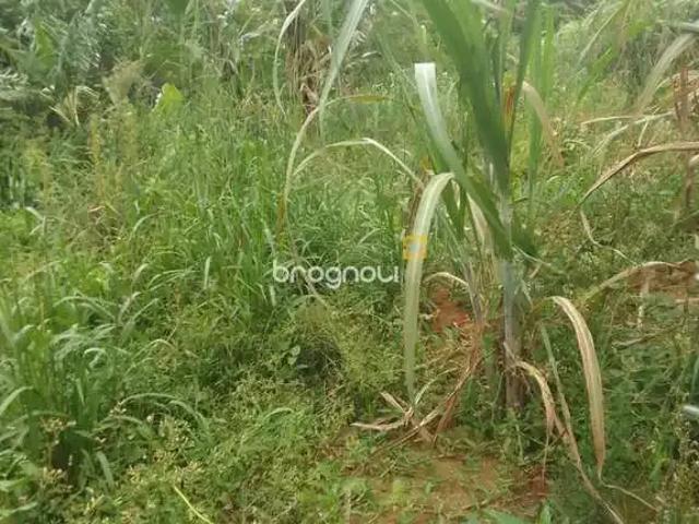 Terreno venda em Região Geográfica Imediata de Florianópolis, São José