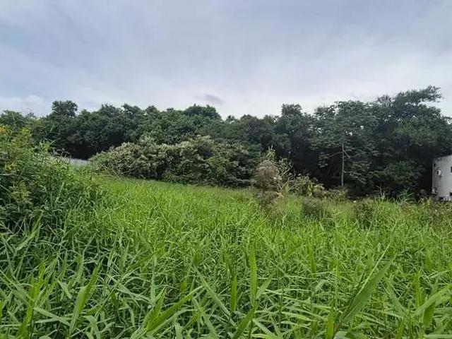 Terreno venda em Região Geográfica Imediata de Florianópolis, São José